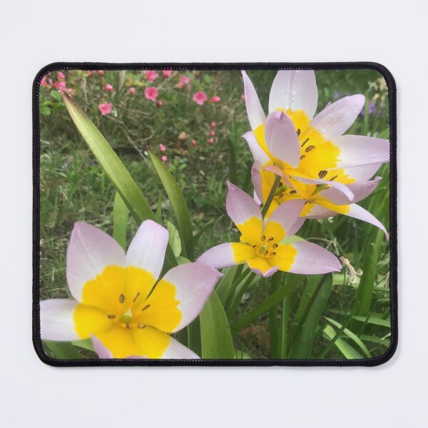Item preview, „Gelbe Blumen im Garten – Entspannte Natur“ •: „Yellow Flowers in the Garden – Relaxing Nature“ designed and sold by Yaroplanner.