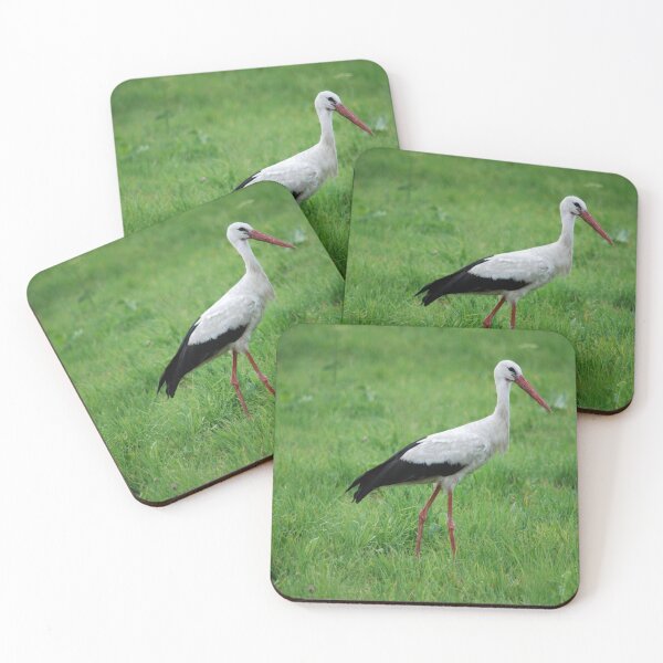 Item preview, White Stork in Green Meadow Nature Photography designed and sold by NightWisdom.