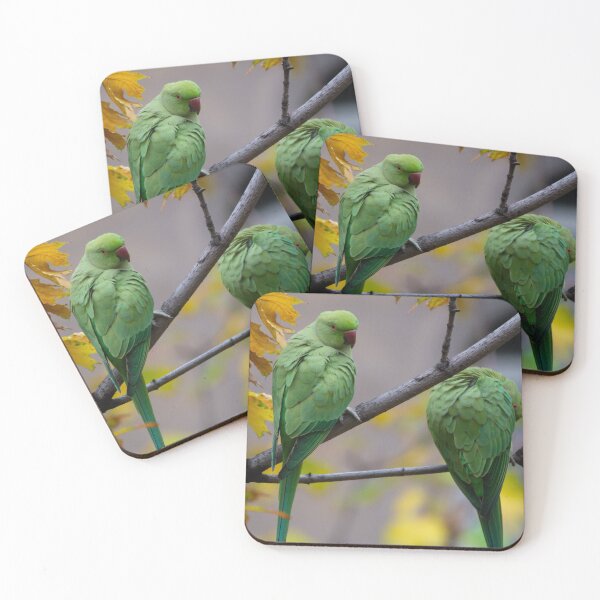 Item preview, The gaze of the parakeet designed and sold by addelon.