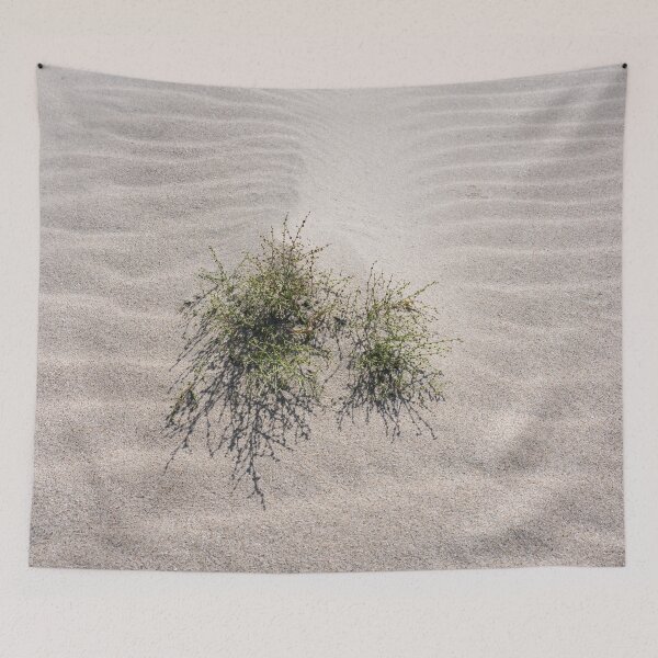 Item preview, Sunlit Desert Sand and Sparse Vegetation designed and sold by Georgia Mizuleva.