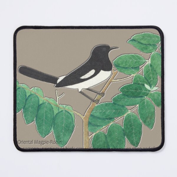 Item preview, Oriental Magpie-Robin designed and sold by Asok Mukhopadhyay.