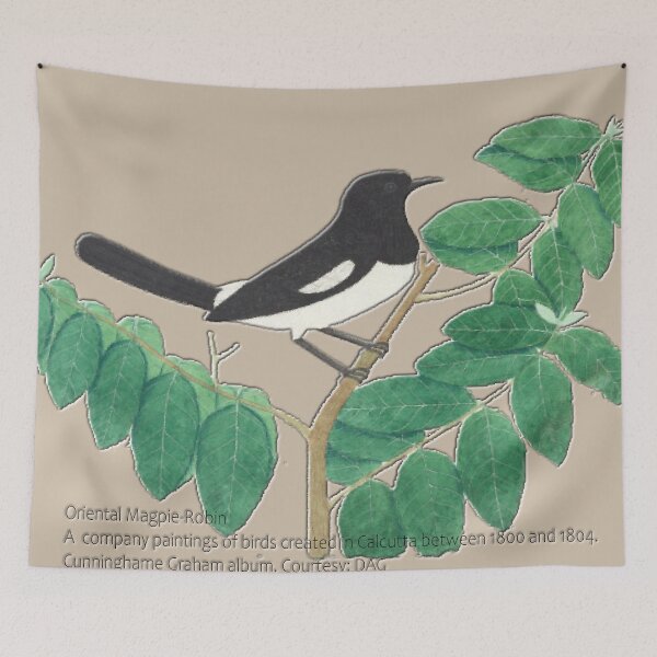 Item preview, Oriental Magpie-Robin designed and sold by Asok Mukhopadhyay.