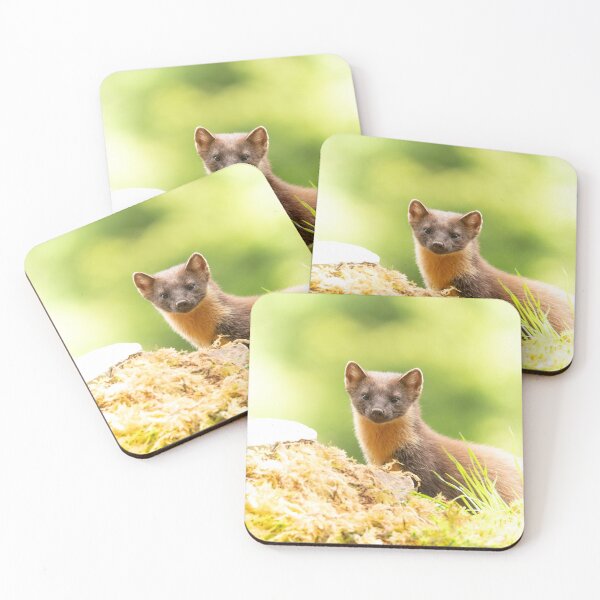 Item preview, Pine Marten designed and sold by KWTImages.