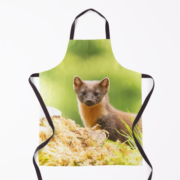 Item preview, Pine Marten designed and sold by KWTImages.
