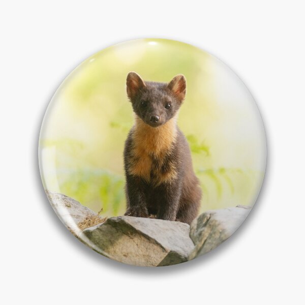 Item preview, Pine Marten designed and sold by KWTImages.