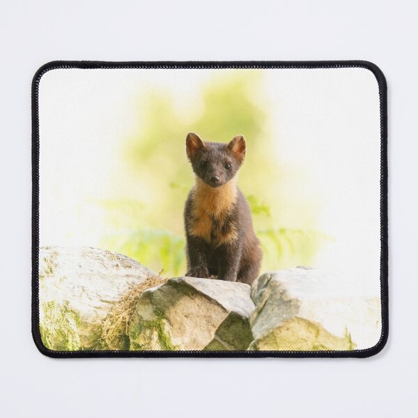 Item preview, Pine Marten designed and sold by KWTImages.