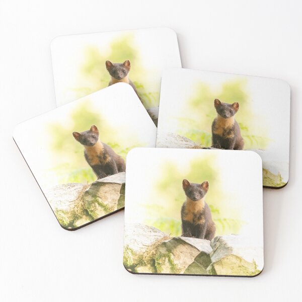 Item preview, Pine Marten designed and sold by KWTImages.