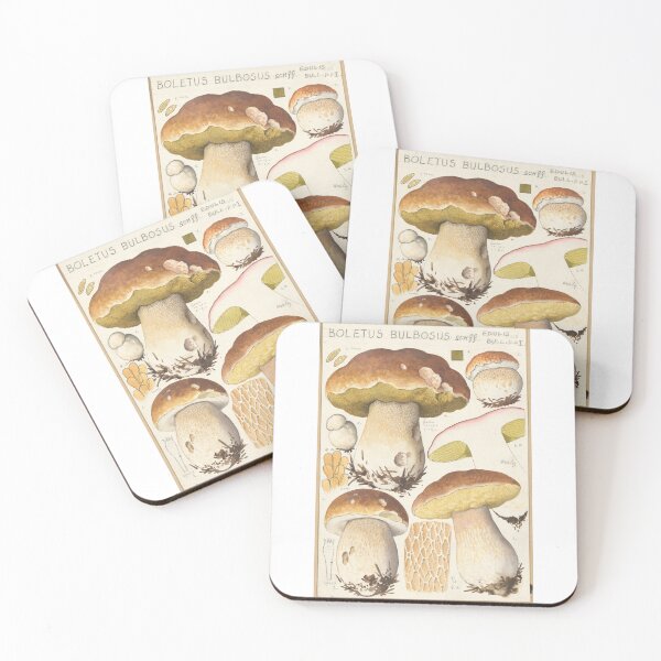 Item preview, Boletus bulbosus Schff. (1915-1945) designed and sold by SadBabyboi.