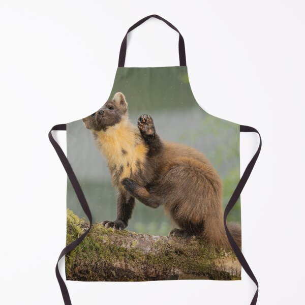 Item preview, Pine Marten Waving designed and sold by KWTImages.
