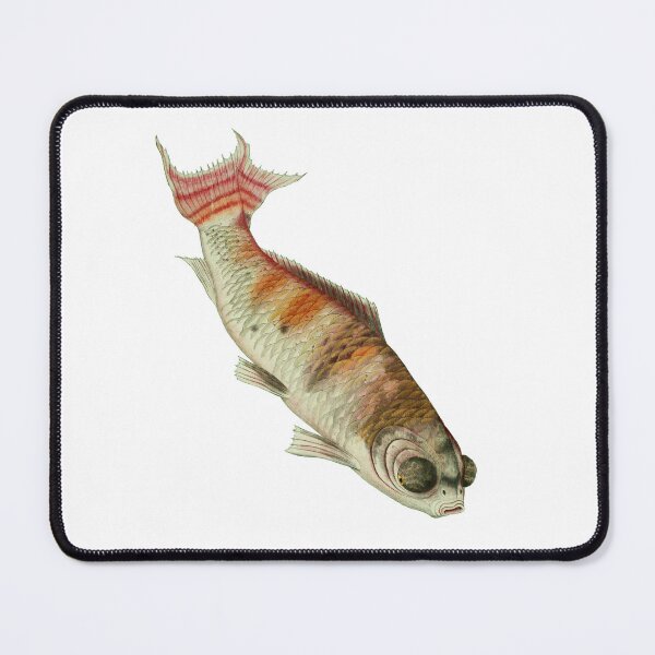 Item preview, Vintage illustration of a fish. designed and sold by SPBurton.
