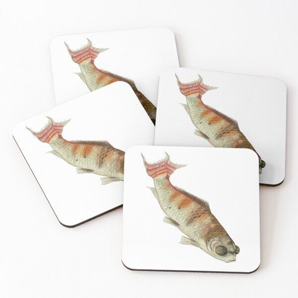 Item preview, Vintage illustration of a fish. designed and sold by SPBurton.