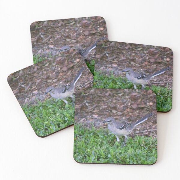 Item preview, Mockingbird on Forest Floor designed and sold by MercerImages.
