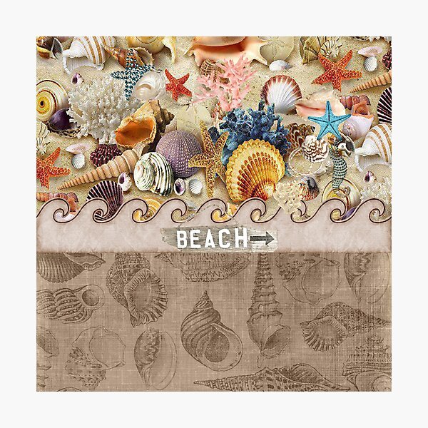 Item preview, Beachcombers Seashell Paradise designed and sold by purplesensation.