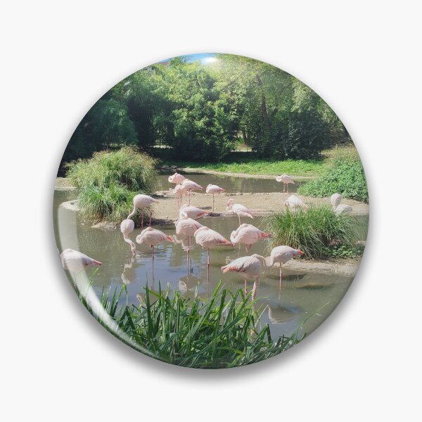Item preview, Flamingos  designed and sold by Dreammkd.