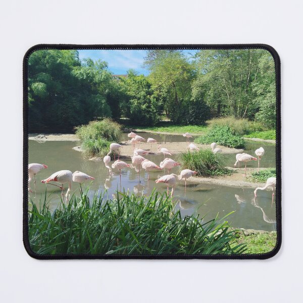 Item preview, Flamingos designed and sold by Dreammkd.