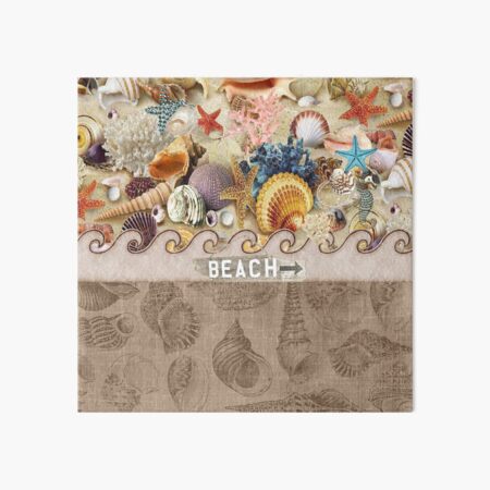 Conch Shells Wall Art Redbubble