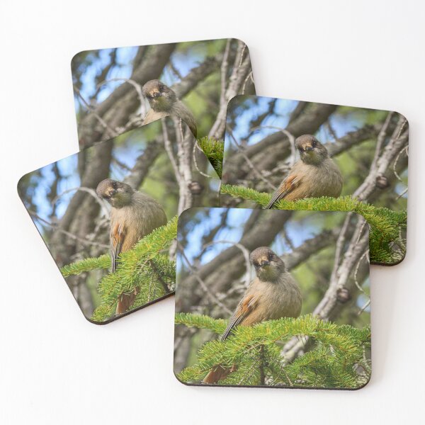 Item preview, Hey there. Siberian jay designed and sold by Jouko Lehto Photography.