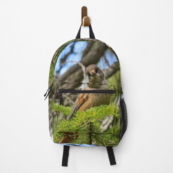 Item preview, Hey there. Siberian jay designed and sold by Jouko Lehto Photography.