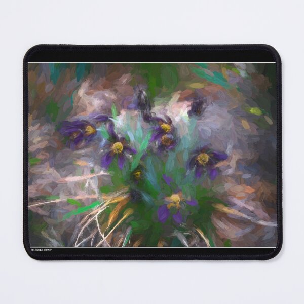 Item preview, Jane Kenyons Pasque Flower Fine Art Poster designed and sold by Wayne King.