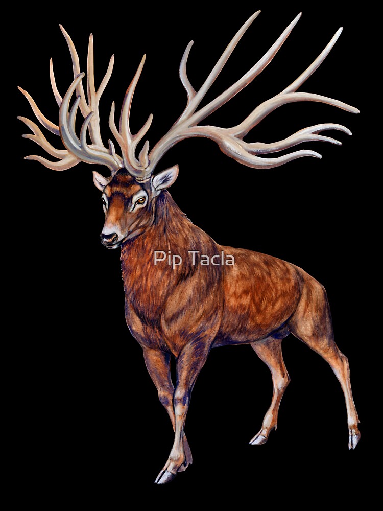 Bush-antlered deer (Eucladoceros) | Kids T-Shirt