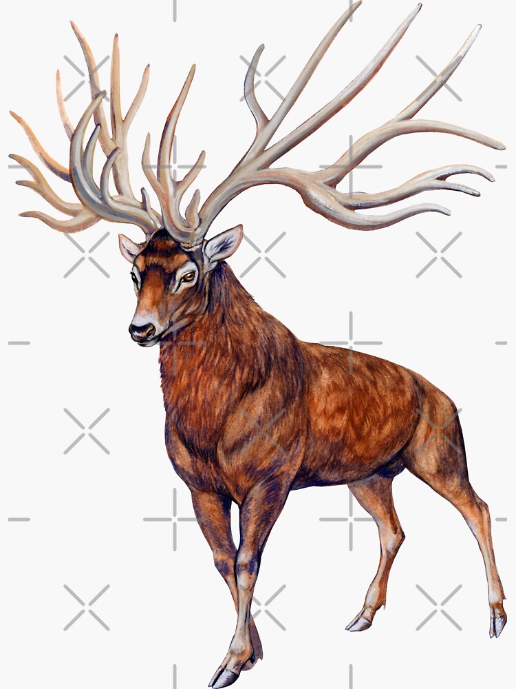Bush-antlered deer (Eucladoceros) by antarcticpip