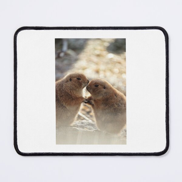 Item preview, Loving Prairie Dogs designed and sold by MelissaPhoto5.