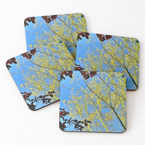 Item preview, Palo Verde Tree designed and sold by stephenB.