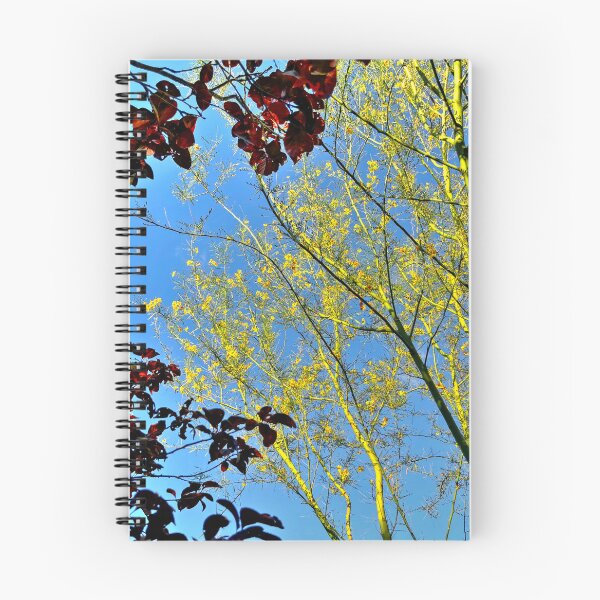 Item preview, Palo Verde Tree designed and sold by stephenB.
