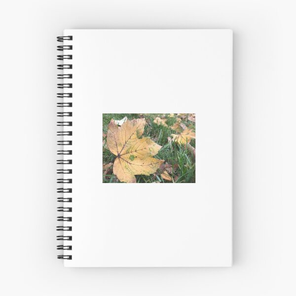 Item preview, Blätter, Herbst, gelb, Natur, Herbstszene , leaves, autumn, yellow, nature, autumn scene designed and sold by Yaroplanner.