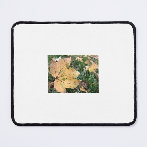 Item preview, Blätter, Herbst, gelb, Natur, Herbstszene , leaves, autumn, yellow, nature, autumn scene designed and sold by Yaroplanner.