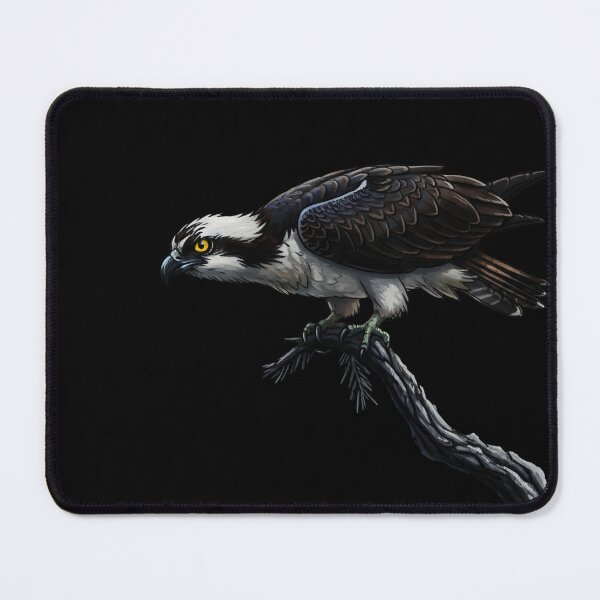 Item preview, Osprey on the hunt designed and sold by CoastalBC.