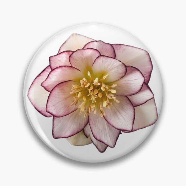 Item preview, helleborus flower sticker designed and sold by inainart.