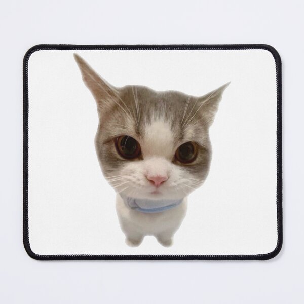 Item preview, kitty meme sticker designed and sold by inainart.