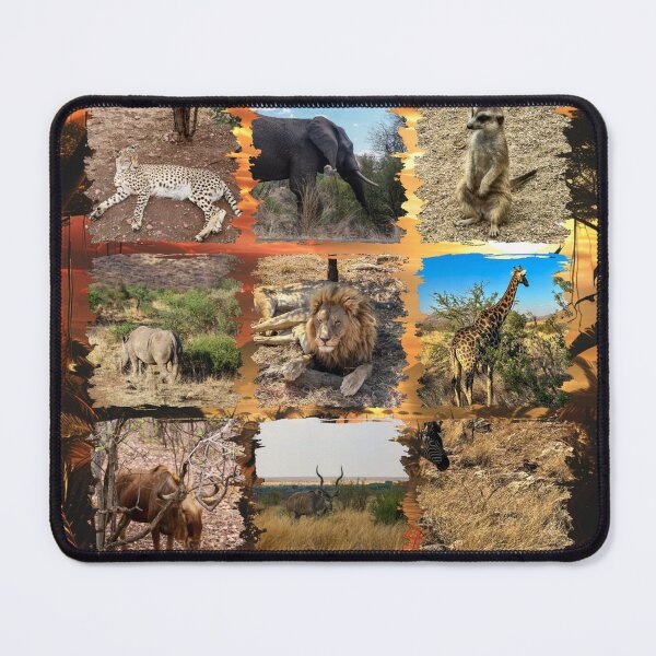 Item preview, African Wildlife various animals designed and sold by Chubbyunicorncreations.