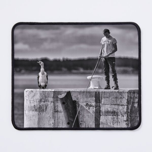 Item preview, The Cormorant designed and sold by Tom McPherson Photography.
