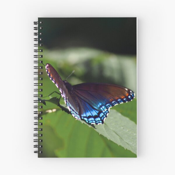 Item preview, Cerulean Butterfly designed and sold by Elisabeth Kasal.
