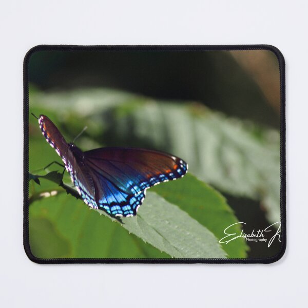 Item preview, Cerulean Butterfly designed and sold by Elisabeth Kasal.