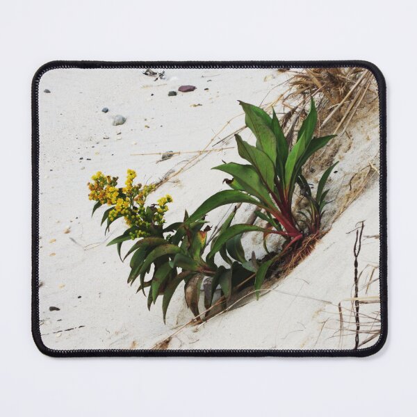 Item preview, Windswept  designed and sold by RVogler.