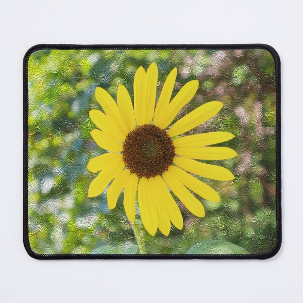 Item preview, Sunflower with Textured Background designed and sold by BostonArcImage.