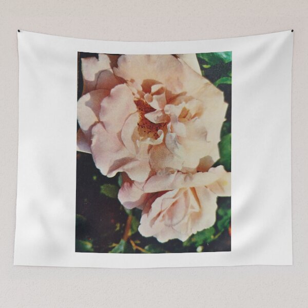 Item preview, “Anything is possible with a bottle of Rosé and sunshine.” designed and sold by Valgasnews011.