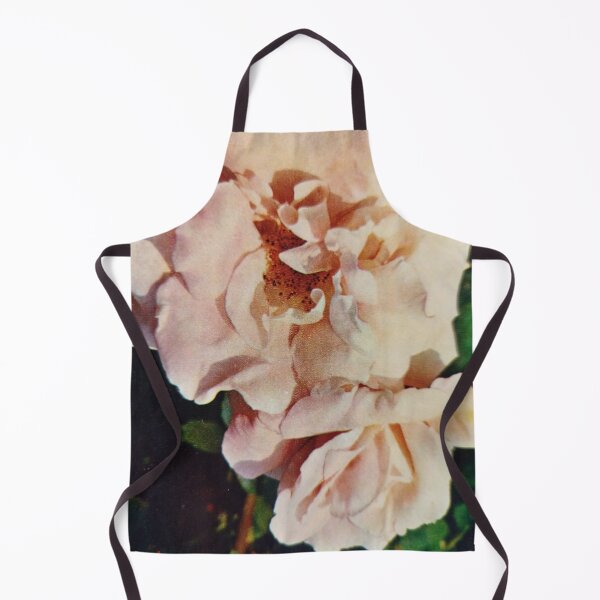Item preview, “Anything is possible with a bottle of Rosé and sunshine.” designed and sold by Valgasnews011.