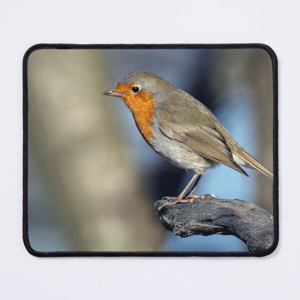 Item preview, Robin Redbreast designed and sold by Tom McPherson Photography.