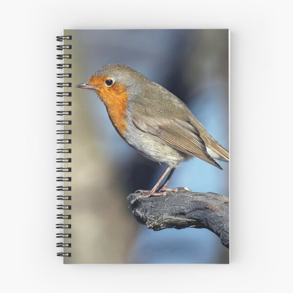 Item preview, Robin Redbreast designed and sold by Tom McPherson Photography.