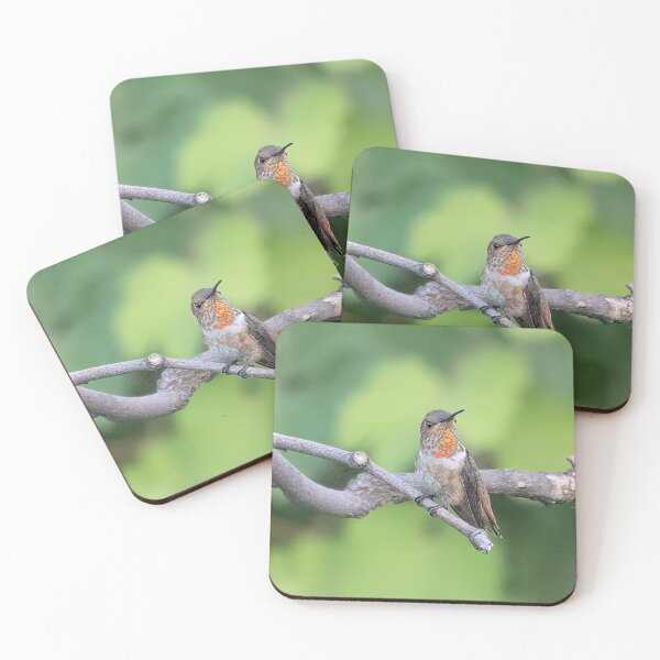 Item preview, Allen's Hummingbird designed and sold by CarolM.