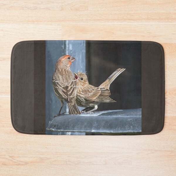 Item preview, Hungry House Finch Fledgling  designed and sold by CarolM.