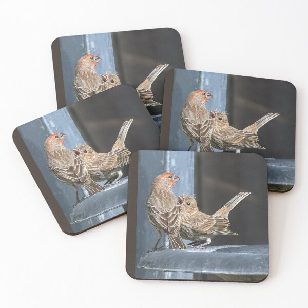 Item preview, Hungry House Finch Fledgling  designed and sold by CarolM.