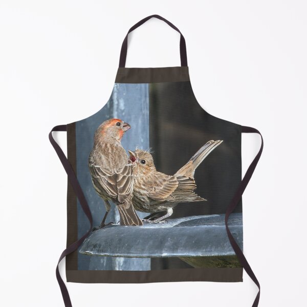 Item preview, Hungry House Finch Fledgling designed and sold by CarolM.