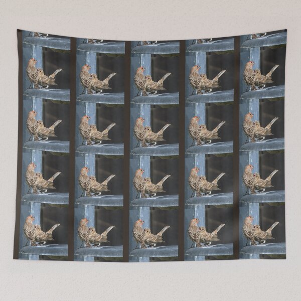 Item preview, Hungry House Finch Fledgling  designed and sold by CarolM.