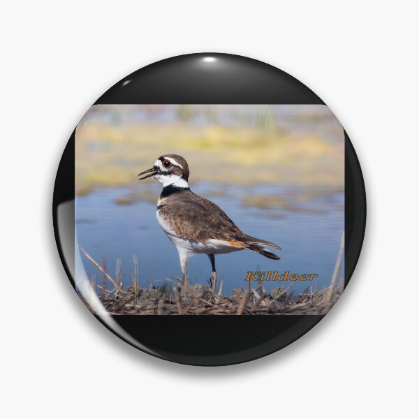 Item preview, Killdeer At Water's Edge designed and sold by CarolM.