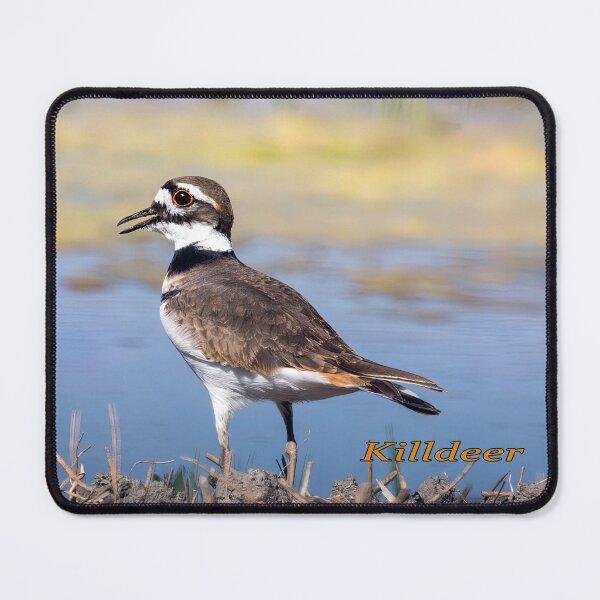 Item preview, Killdeer At Water's Edge designed and sold by CarolM.